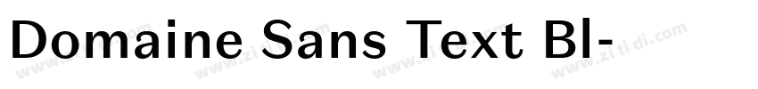 Domaine Sans Text Bl字体转换